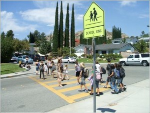 Kids traffic rules. Safety road movement, young pedestrians with